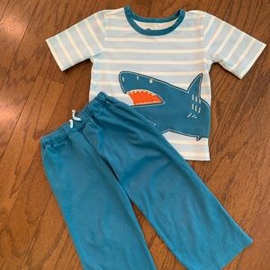 Hey Day Shark Outfit